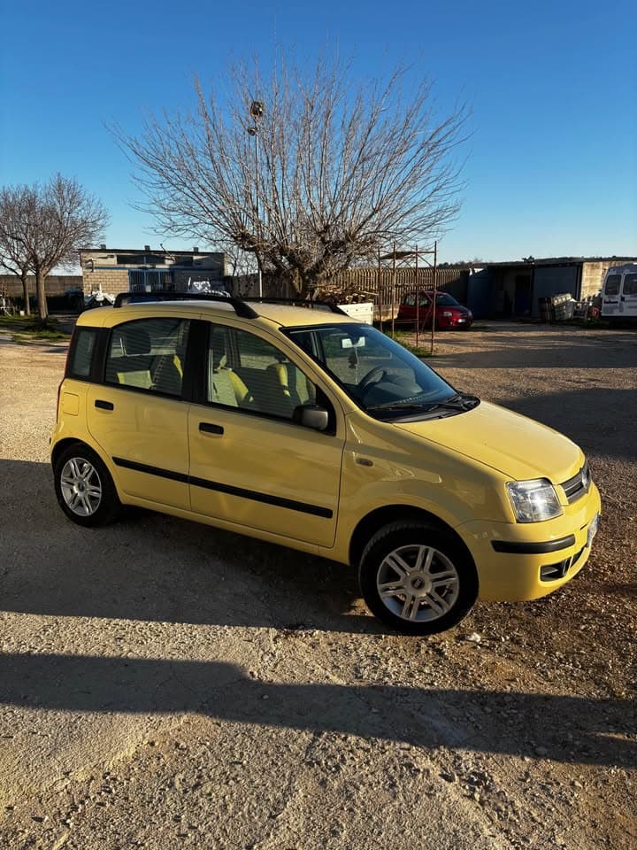 Fiat Panda 1.3 Multijet Gialla 4