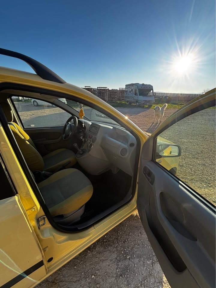 Fiat Panda 1.3 Multijet Gialla 6